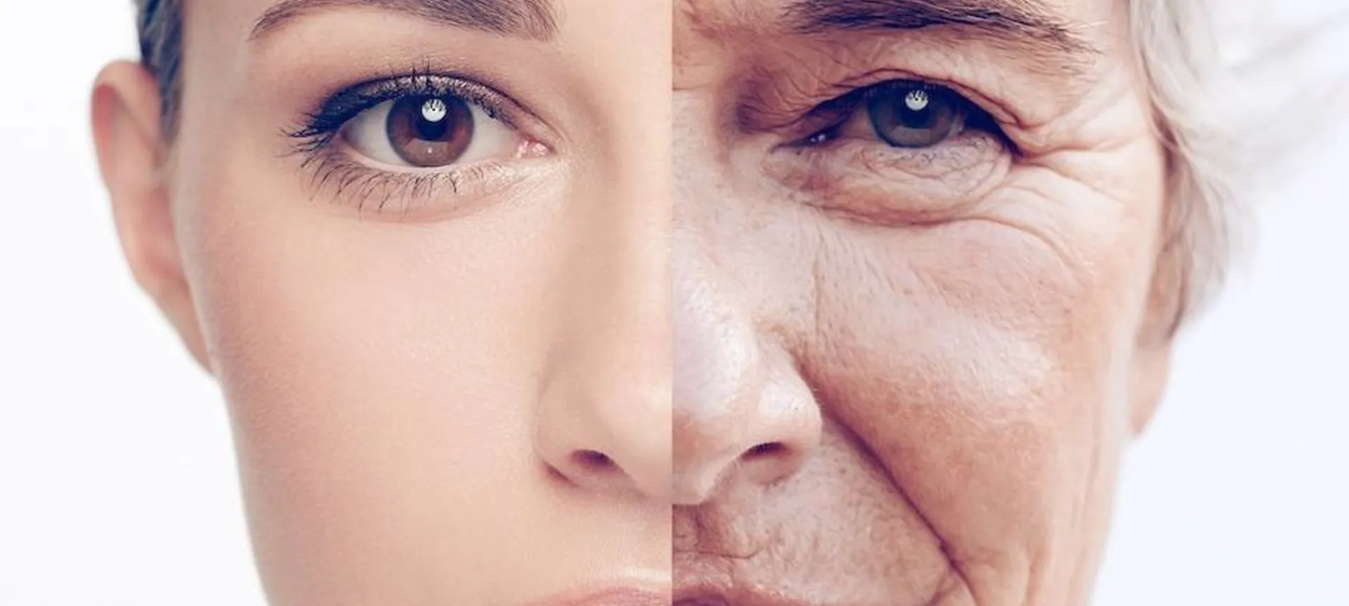 Comparaison visuelle du vieillissement de la peau : peau jeune versus peau mature